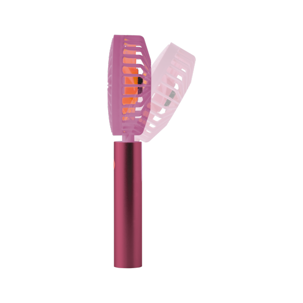 FUN FLOW BERRY PORTABLE