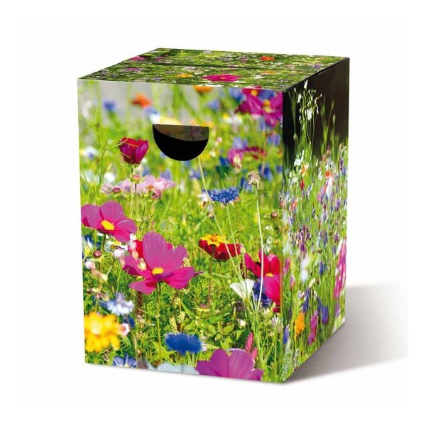 PAPPHOCKER FLOWER MEADOW