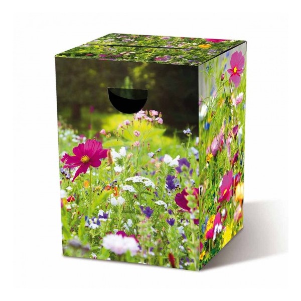 PAPPHOCKER FLOWER MEADOW