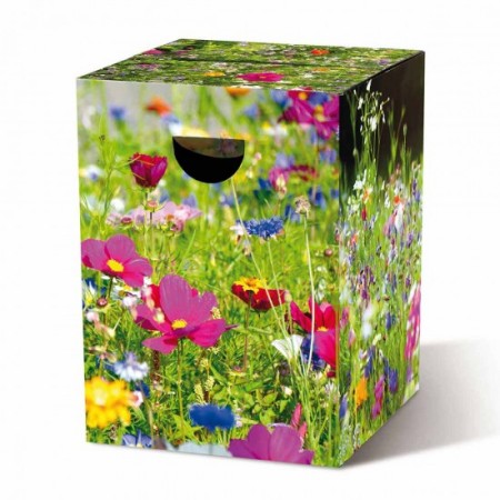 PAPPHOCKER FLOWER MEADOW