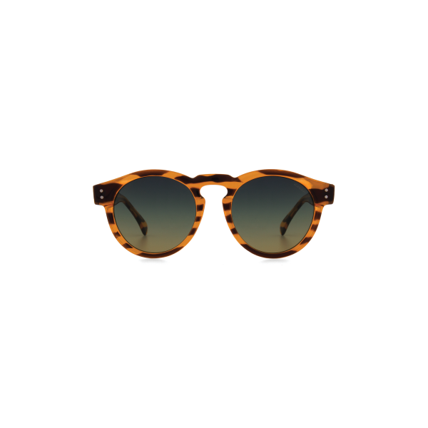 CLEMENT LINED TORTOISE