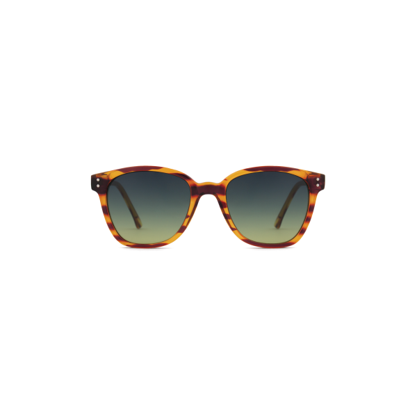 RENEE LINED TORTOISE