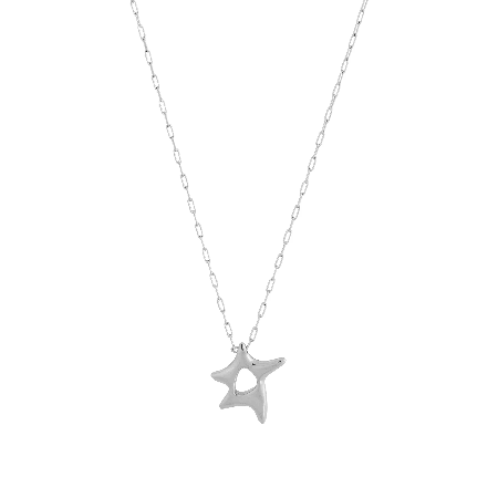 ASTER NECKLACE S STEEL